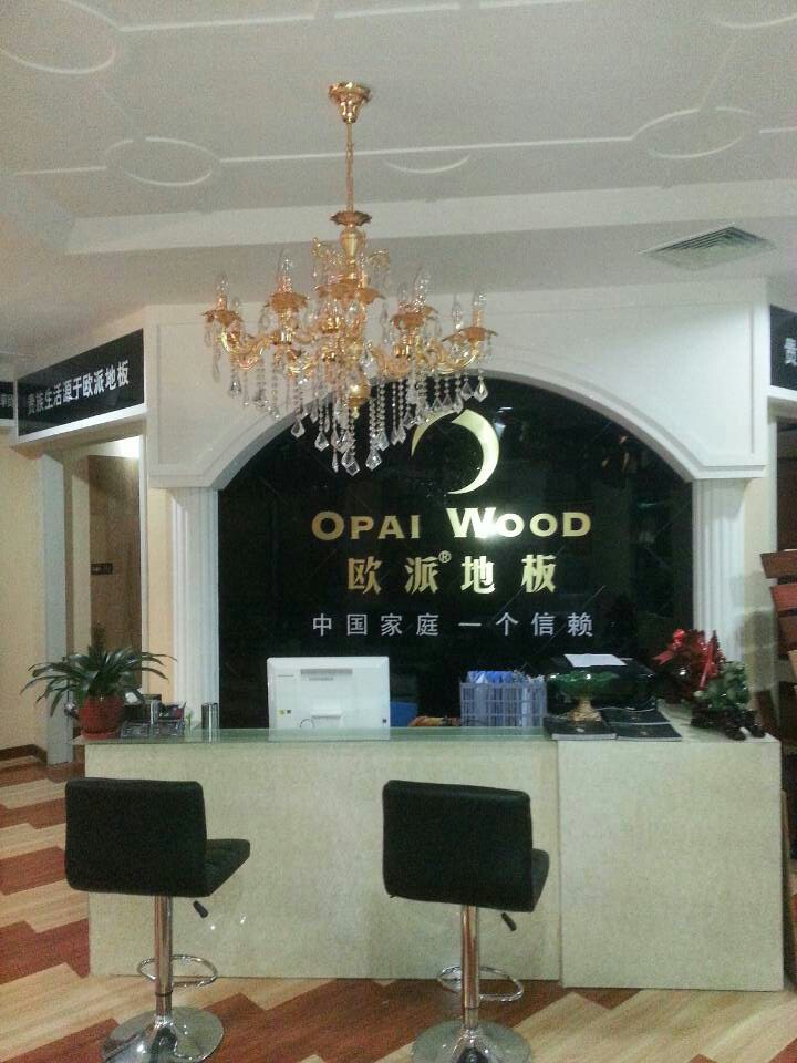张家港欧派地板