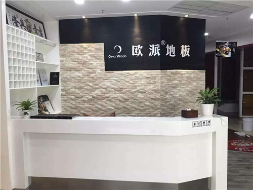 欧派地板江西九江店开业