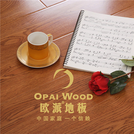 木地板上的龙骨居然会是虫源